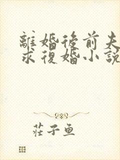 离婚后前夫哭着求复婚小说免费全本阅读