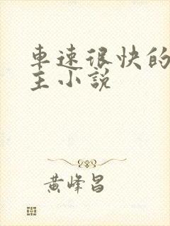 车速很快的双男主小说