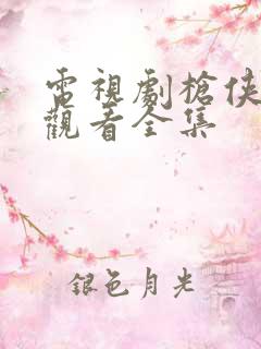 电视剧枪侠免费观看全集