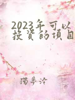 2023年可以投资的项目