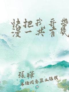 快把我哥带走动漫一共有几季