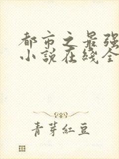 都市之最强狂兵小说在线全集