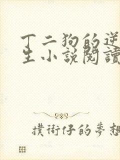 丁二狗的逆袭人生小说阅读
