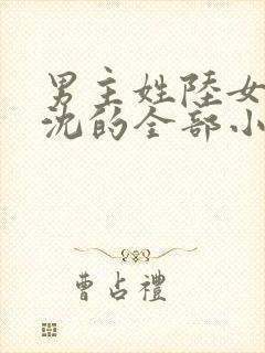 男主姓陆女主姓沈的全部小说
