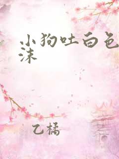 小狗吐白色的泡沫