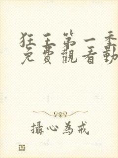 狂王第一季全集免费观看动漫版