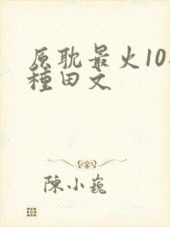 原耽最火10部种田文