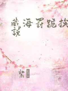 藏海罚跪挨打小说