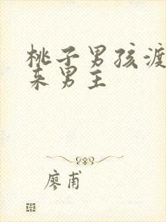 桃子男孩渡海而来男主