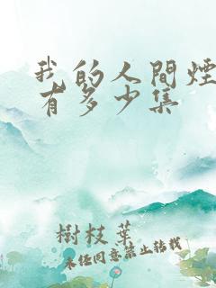 我的人间烟火共有多少集