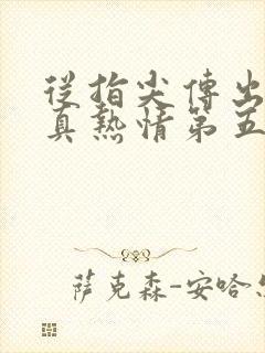 从指尖传出的认真热情第五季