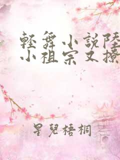 轻舞小说陆爷的小祖宗又撩又飒