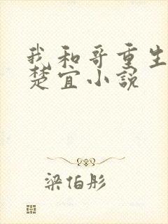 我和哥重生了赵楚宜小说