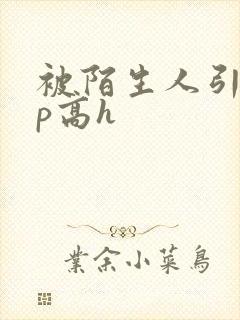 被陌生人引诱np高h