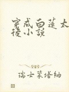 穿成白莲太子妃后小说