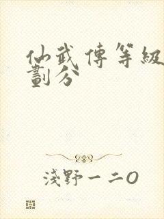 仙武传等级境界划分