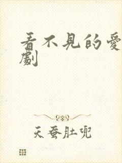 看不见的爱 韩剧