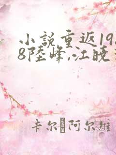 小说重返1988陆峰,江晓燕