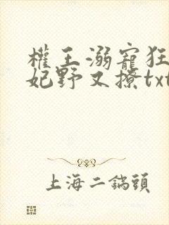 权王溺宠狂傲王妃野又撩txt