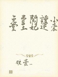 免费阅读小说下堂王妃逆袭记