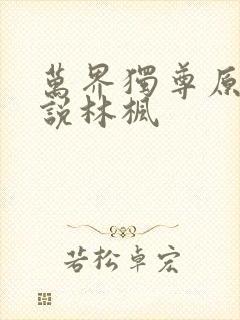 万界独尊原著小说林枫