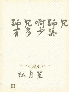 师兄啊师兄一共有多少集