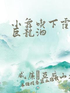 小舞吃下霍雨浩巨龙泗