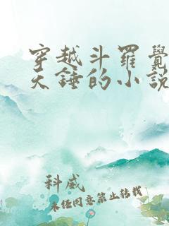 穿越斗罗觉醒昊天锤的小说