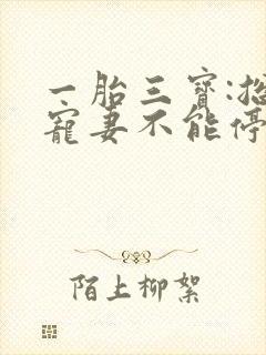 一胎三宝:总裁宠妻不能停