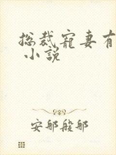 总裁宠妻有点甜 小说