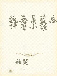 魏无羡蓝忘机是什么小说