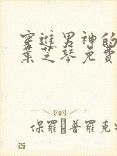 穿进男神的梦里叶芝琴免费阅读