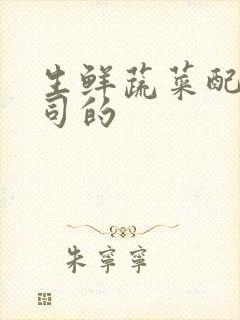 生鲜蔬菜配送公司的