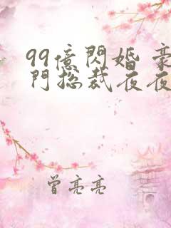 99亿闪婚 豪门总裁夜夜忙