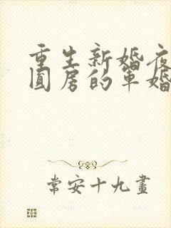 重生新婚夜正在圆房的军婚小说