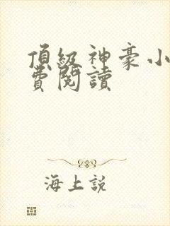 顶级神豪小说免费阅读