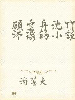 顾云舟沈竹心林沐瑶的小说名字