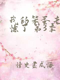 我的笨蛋老婆失忆了 第3季