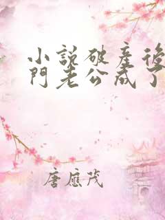 小说破产后,上门老公成了我的金主