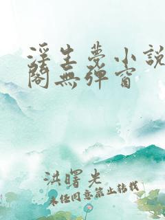 浮生梦小说笔趣阁无弹窗