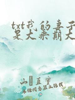txt我的妻子是大乘期大佬下载