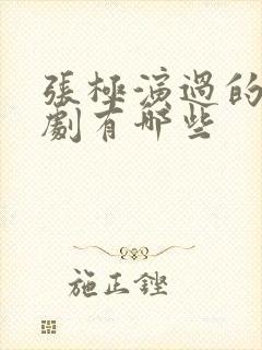 张极演过的电视剧有哪些