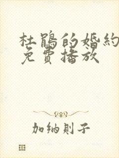 杜鹃的婚约全集免费播放