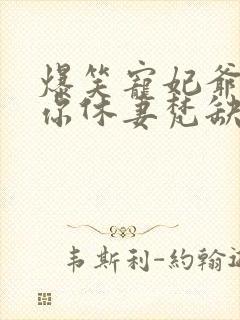 爆笑宠妃爷我等你休妻梵缺小说正版