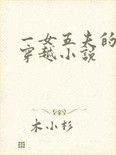 一女五夫的小说穿越小说
