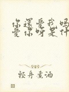 你还爱我吗我还爱你呀是什么歌