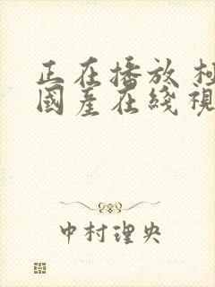 正在播放 极品国产在线视频