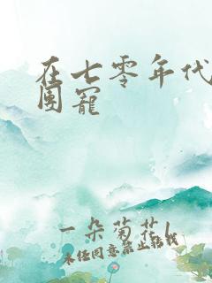 在七零年代我被团宠