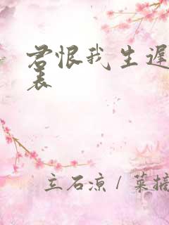 君恨我生迟演员表