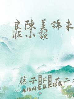 良陈美锦未删减版小说